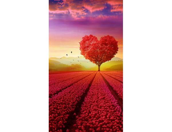 Images of Love - Nature for Android - Download the APK from Habererciyes